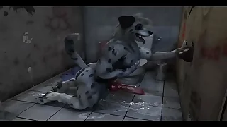 gay